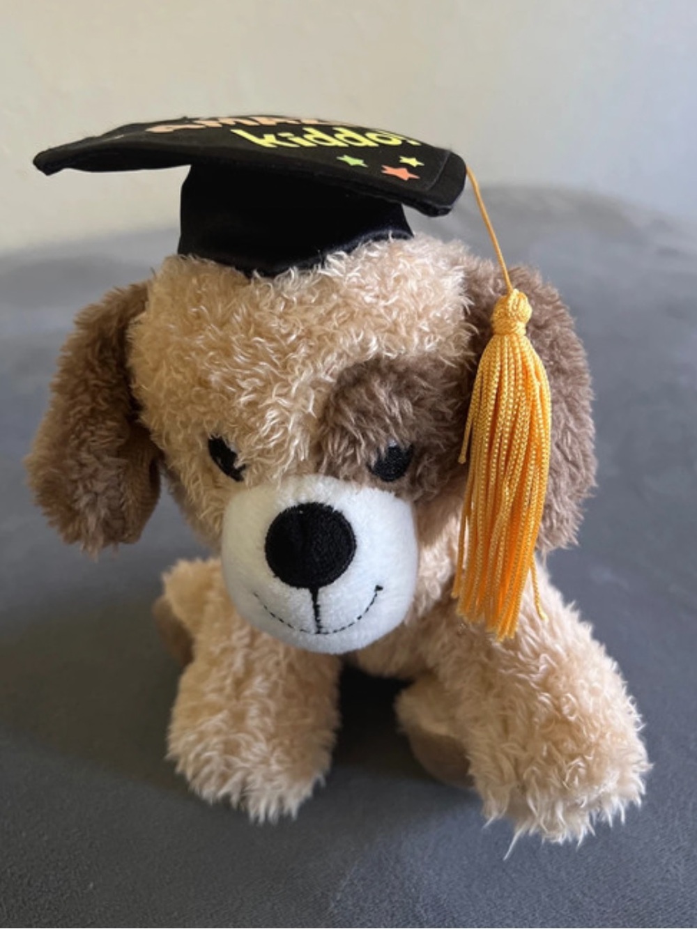 Graduation puppy plush